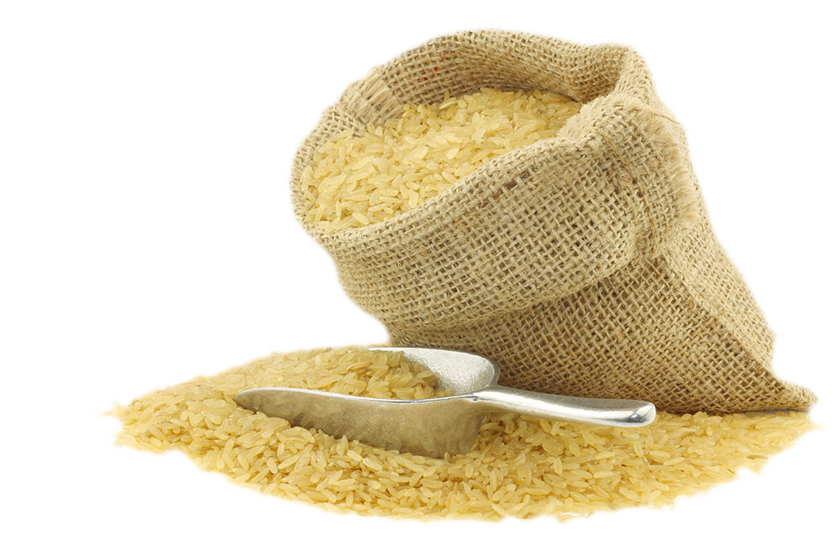 maharajaricemill.com